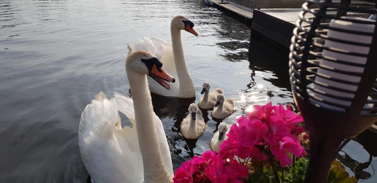 Out Of Amsterdam, River Apartment Close To City Broek in Waterland Exteriör bild