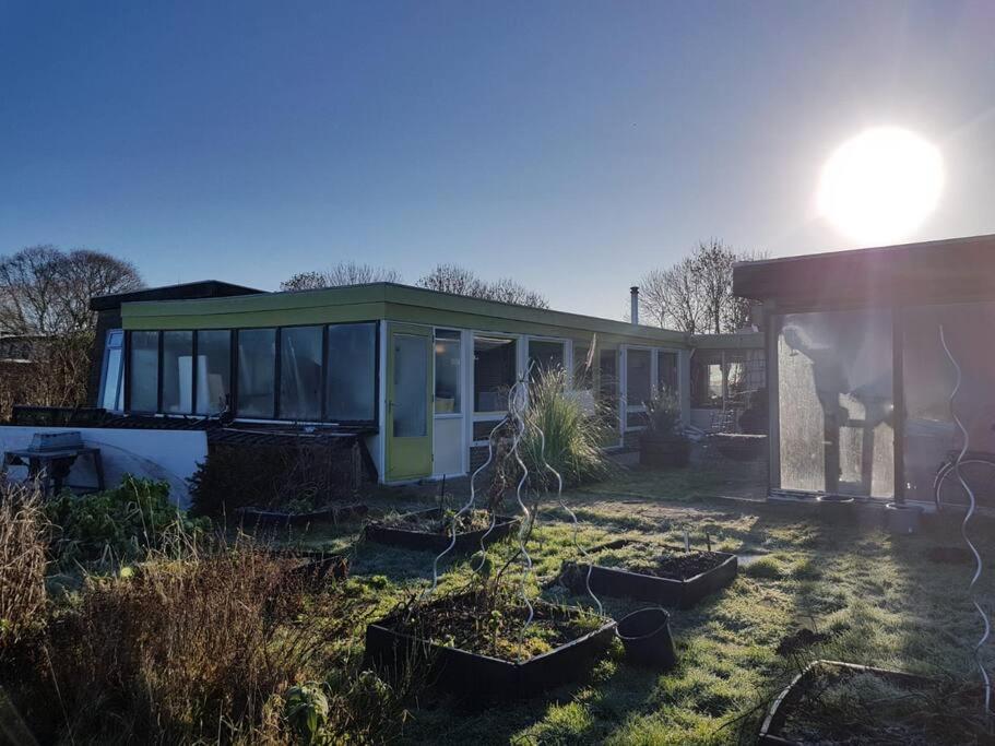 Out Of Amsterdam, River Apartment Close To City Broek in Waterland Exteriör bild